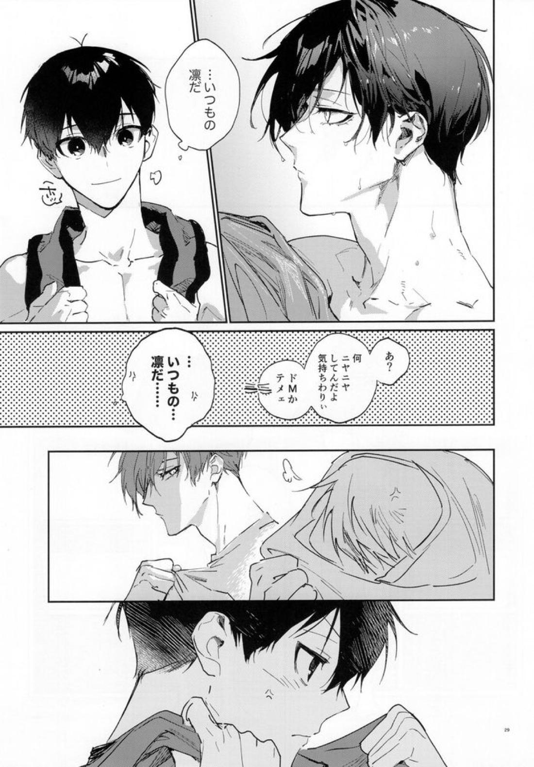 DISTORTION【ブルーロック/潔凛】 page 28