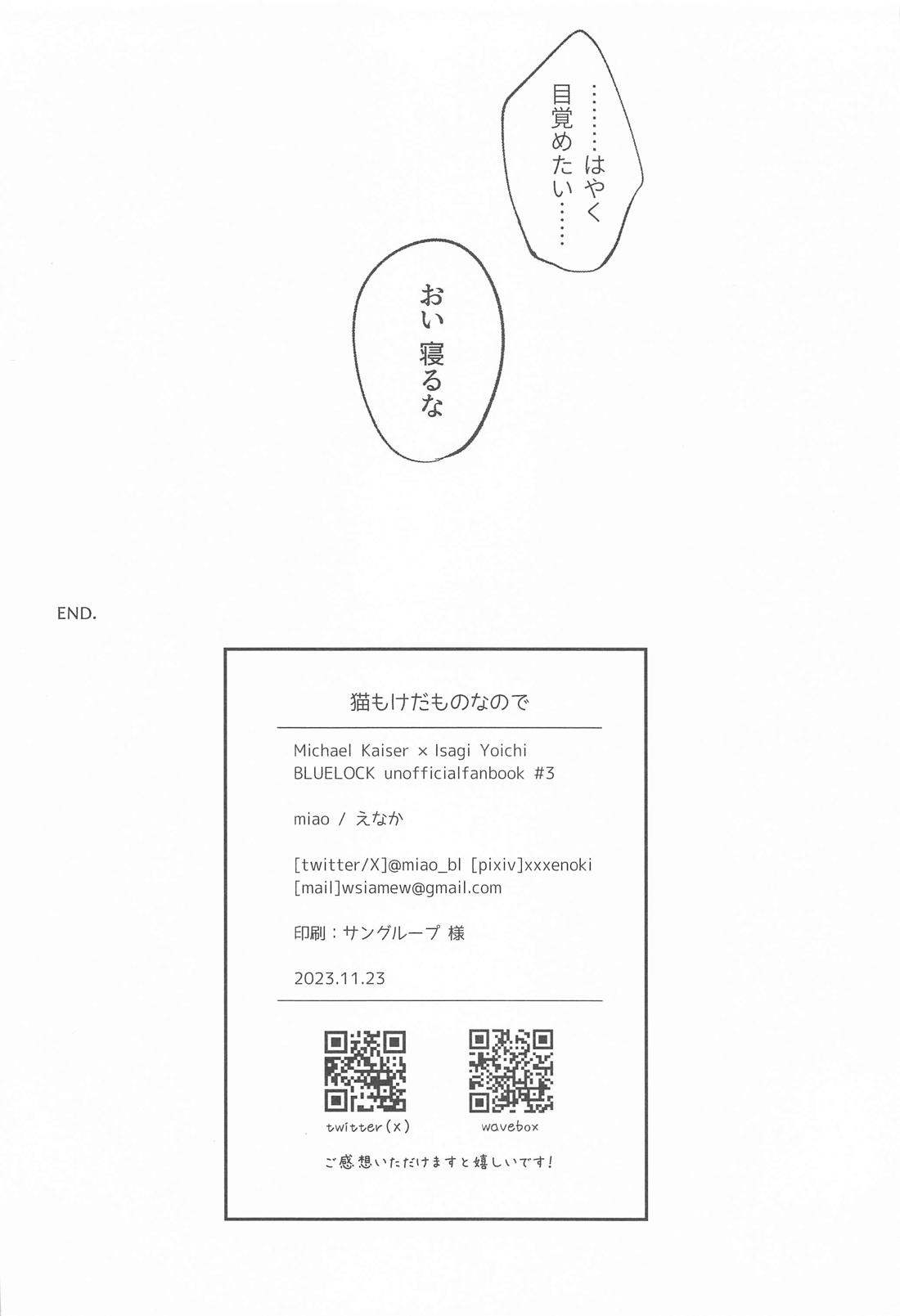 猫もけだものなので【ブルーロック/カイ潔】 page 26