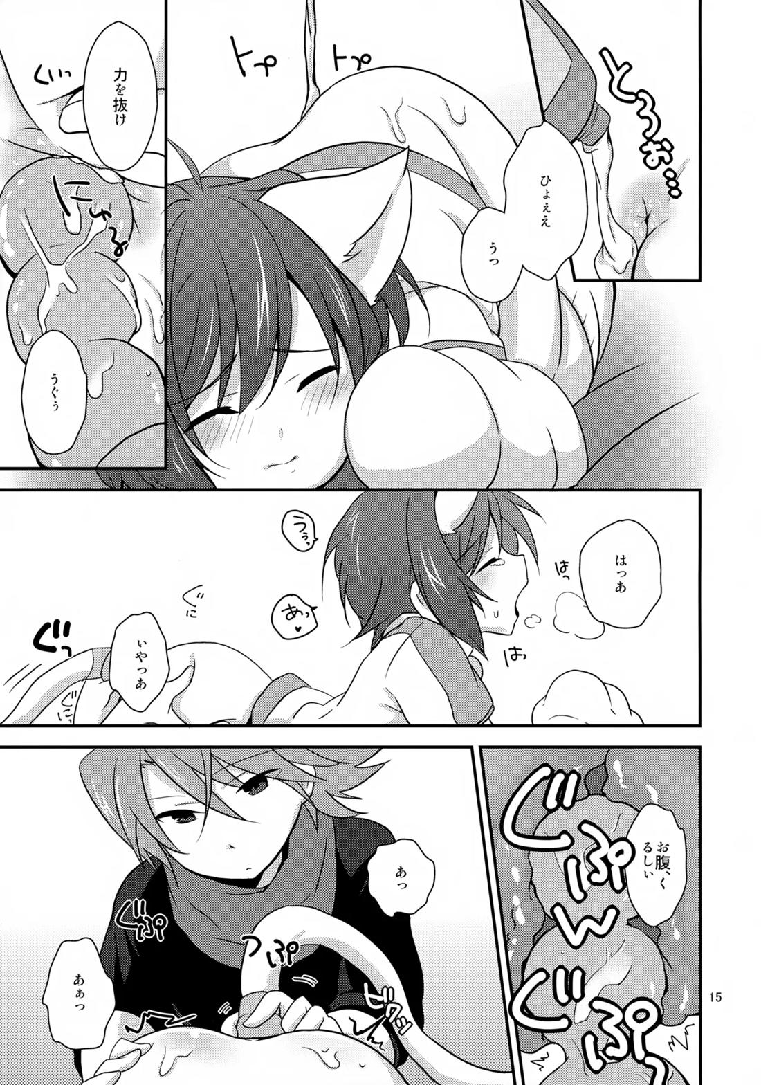 きゃっとにらいど にゃんこでふぁいと【カードファイト!! ヴァンガード/櫂アイ】 page 14