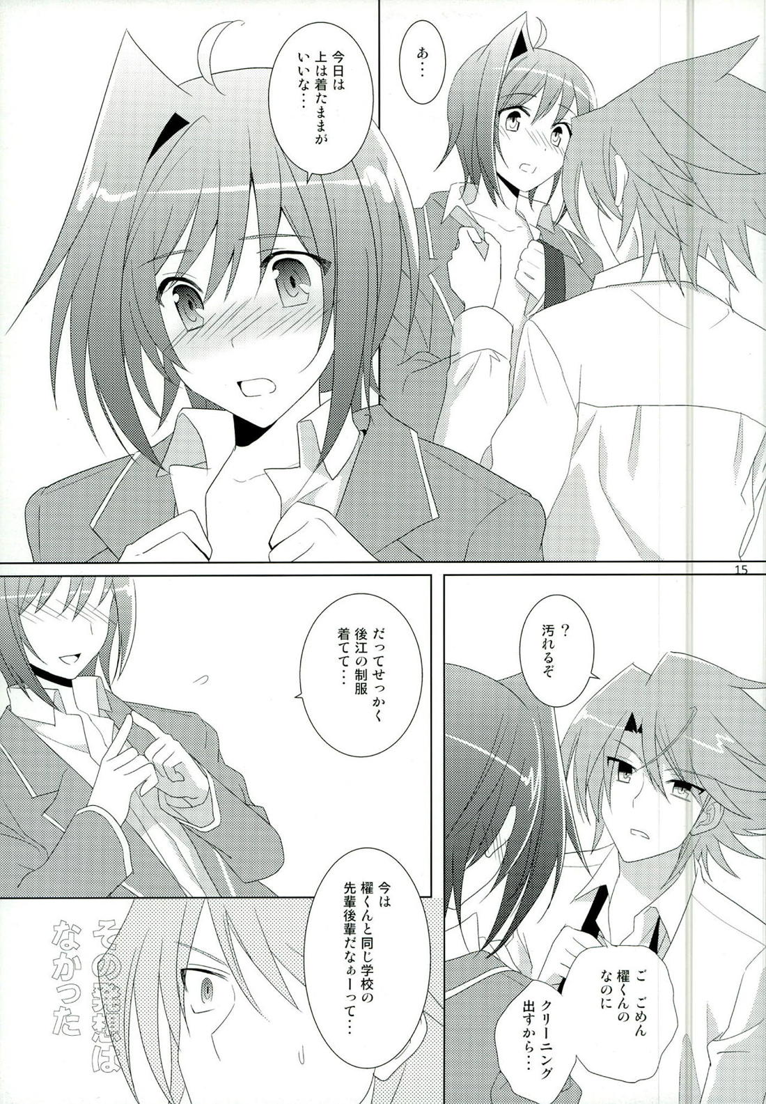 立ち止まって、すこしだけ【カードファイト!! ヴァンガード/櫂アイ】 page 14
