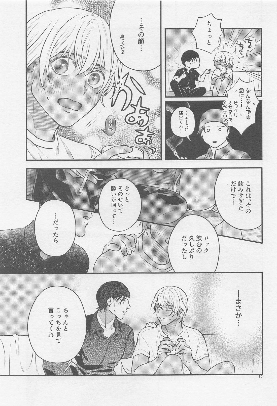 The first．．．【名探偵コナン/赤降(赤井×降谷)】 page 14