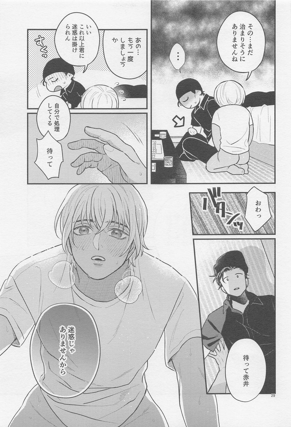 The first．．．【名探偵コナン/赤降(赤井×降谷)】 page 28