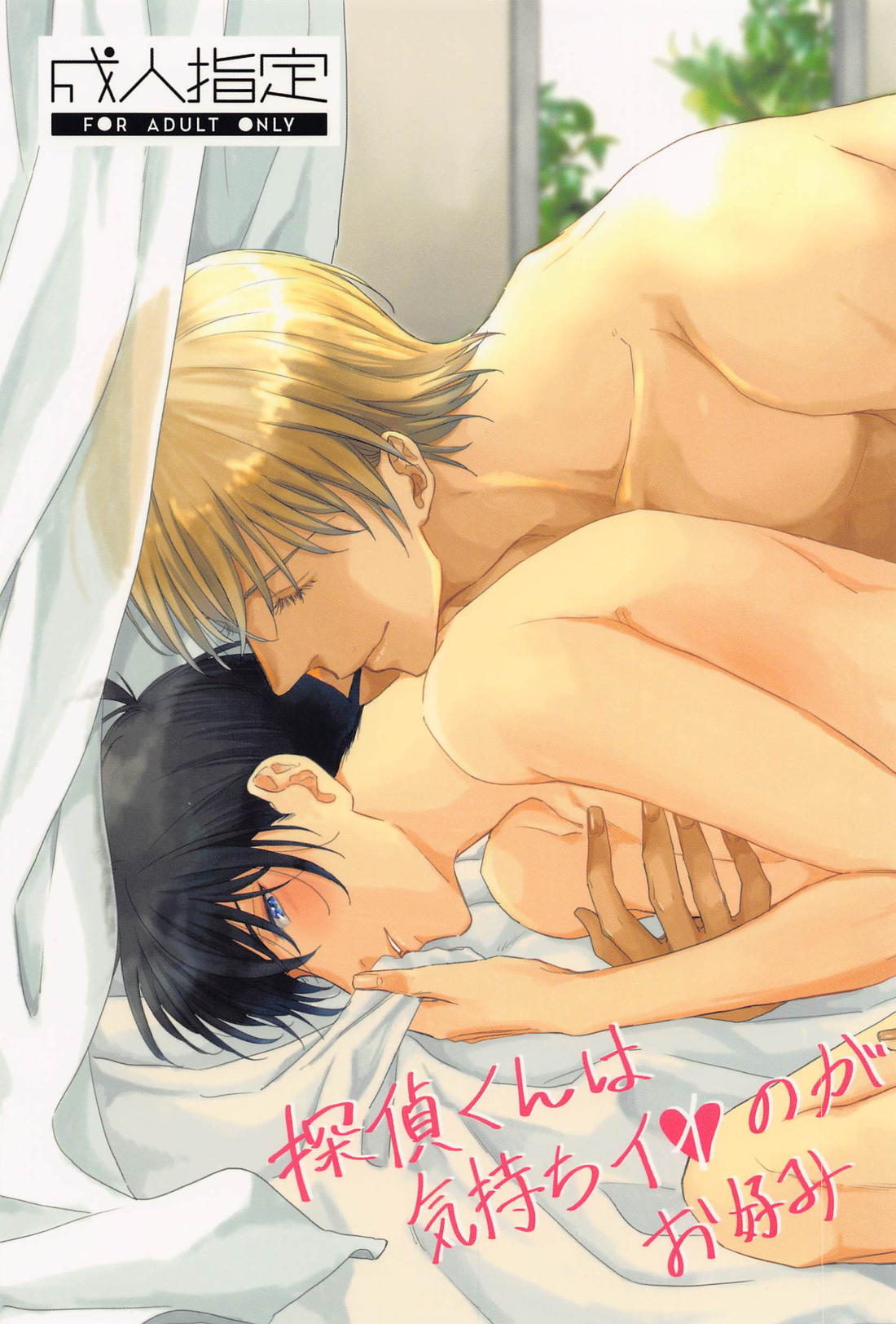 Recommended BL manga "探偵くんは気持ちイイのがお好み【名探偵コナン/降新(降新)】" cover image