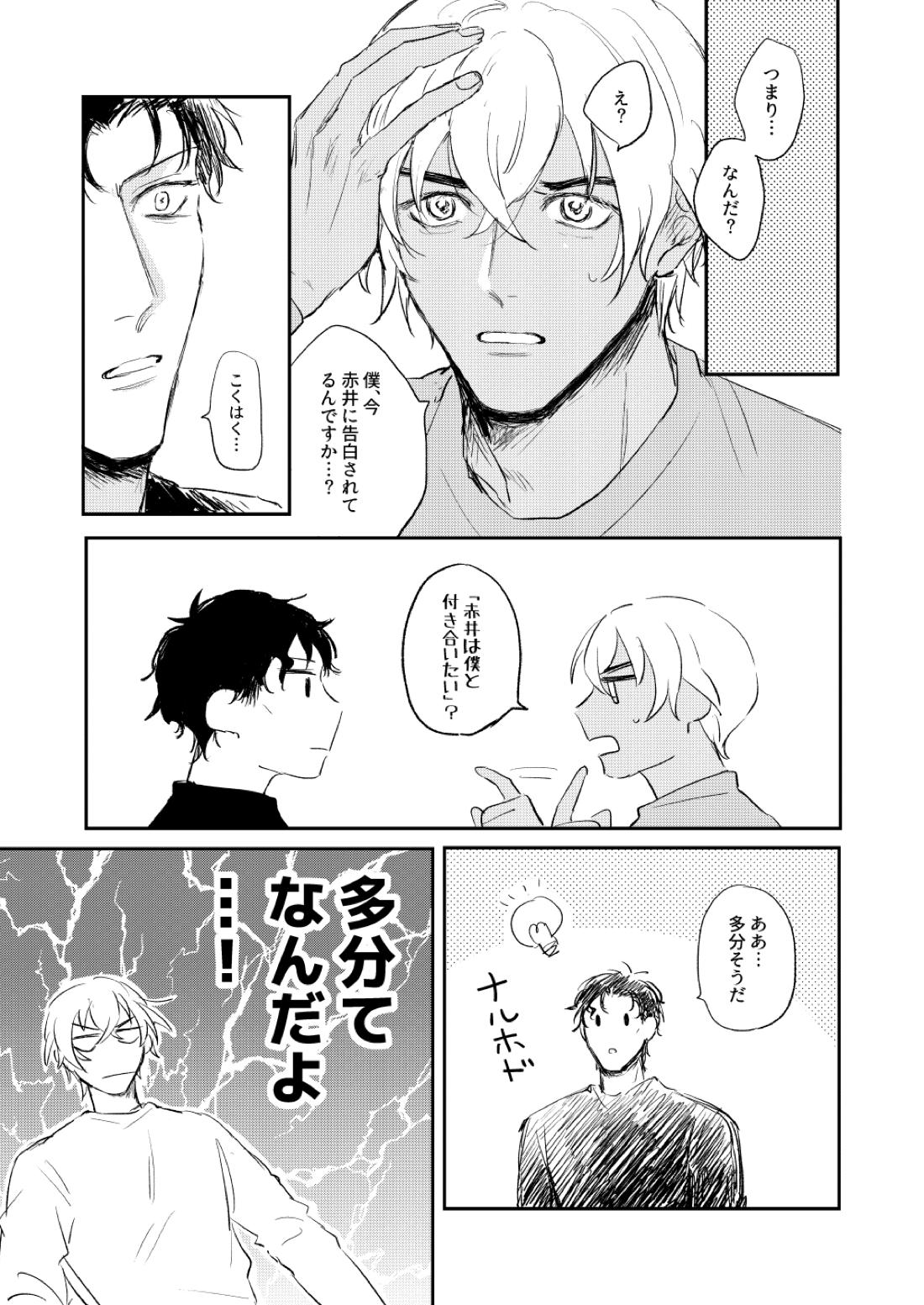 ぼくたちほんとにコイビトですか？【名探偵コナン/赤降(赤井×降谷)】 page 14