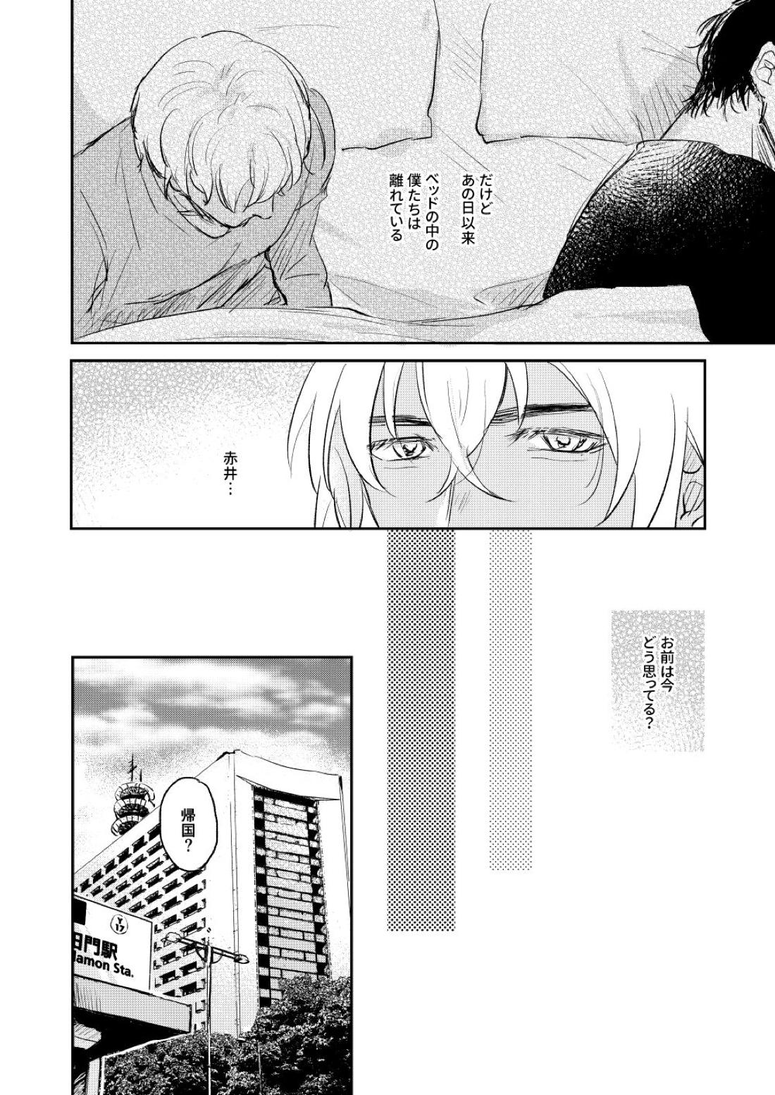ぼくたちほんとにコイビトですか？【名探偵コナン/赤降(赤井×降谷)】 page 21
