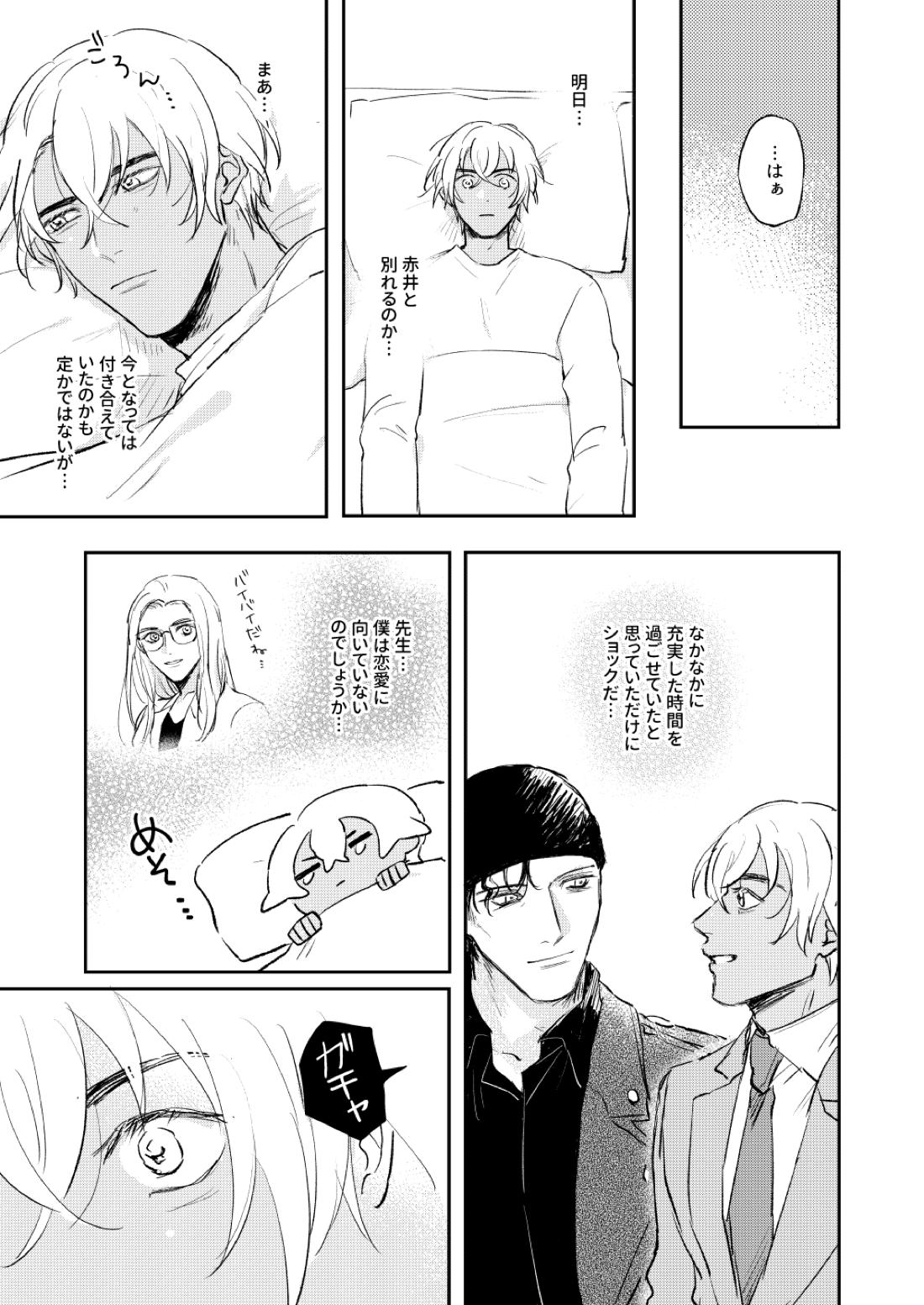 ぼくたちほんとにコイビトですか？【名探偵コナン/赤降(赤井×降谷)】 page 28