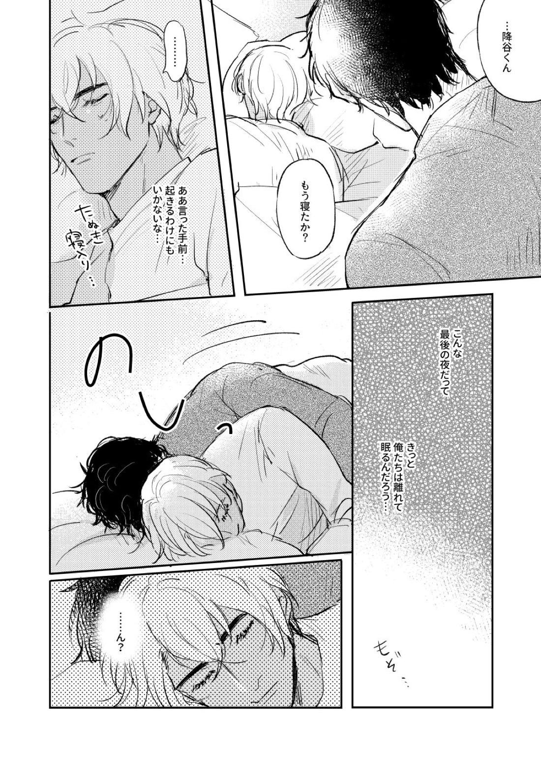 ぼくたちほんとにコイビトですか？【名探偵コナン/赤降(赤井×降谷)】 page 29