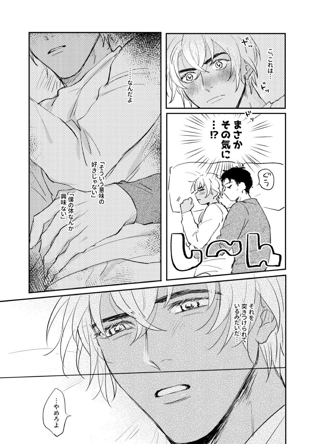 ぼくたちほんとにコイビトですか？【名探偵コナン/赤降(赤井×降谷)】 page 30