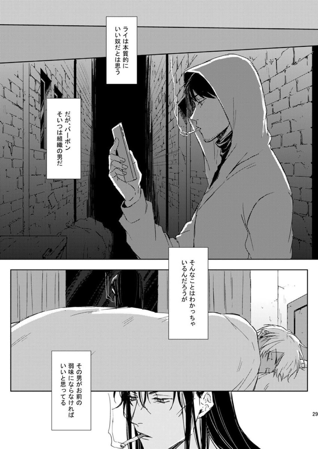Prisoner of Love【名探偵コナン/ライバボ】 page 28