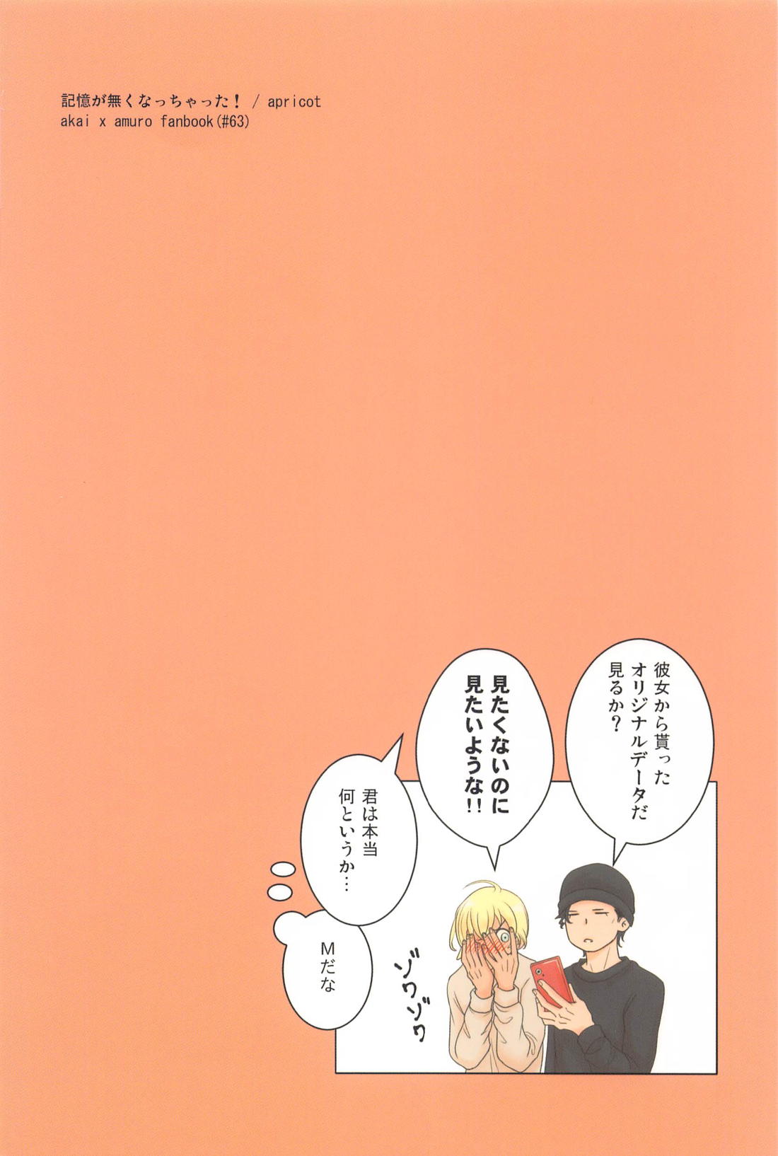 記憶が無くなっちゃった！【名探偵コナン/赤降(赤井×降谷)】 page 34