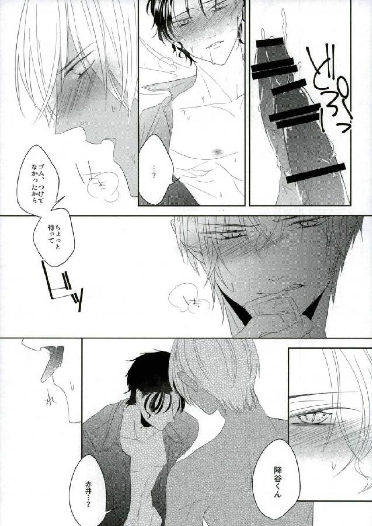 血統書付雌猫DARLING【名探偵コナン/降赤】 page 14