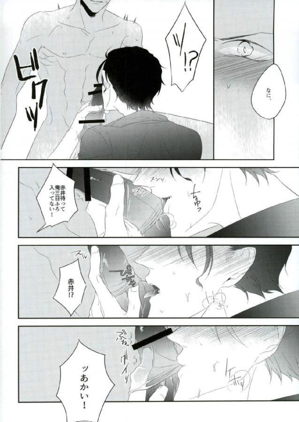 血統書付雌猫DARLING【名探偵コナン/降赤】 page 15