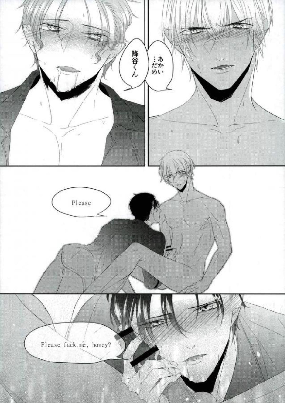 血統書付雌猫DARLING【名探偵コナン/降赤】 page 16