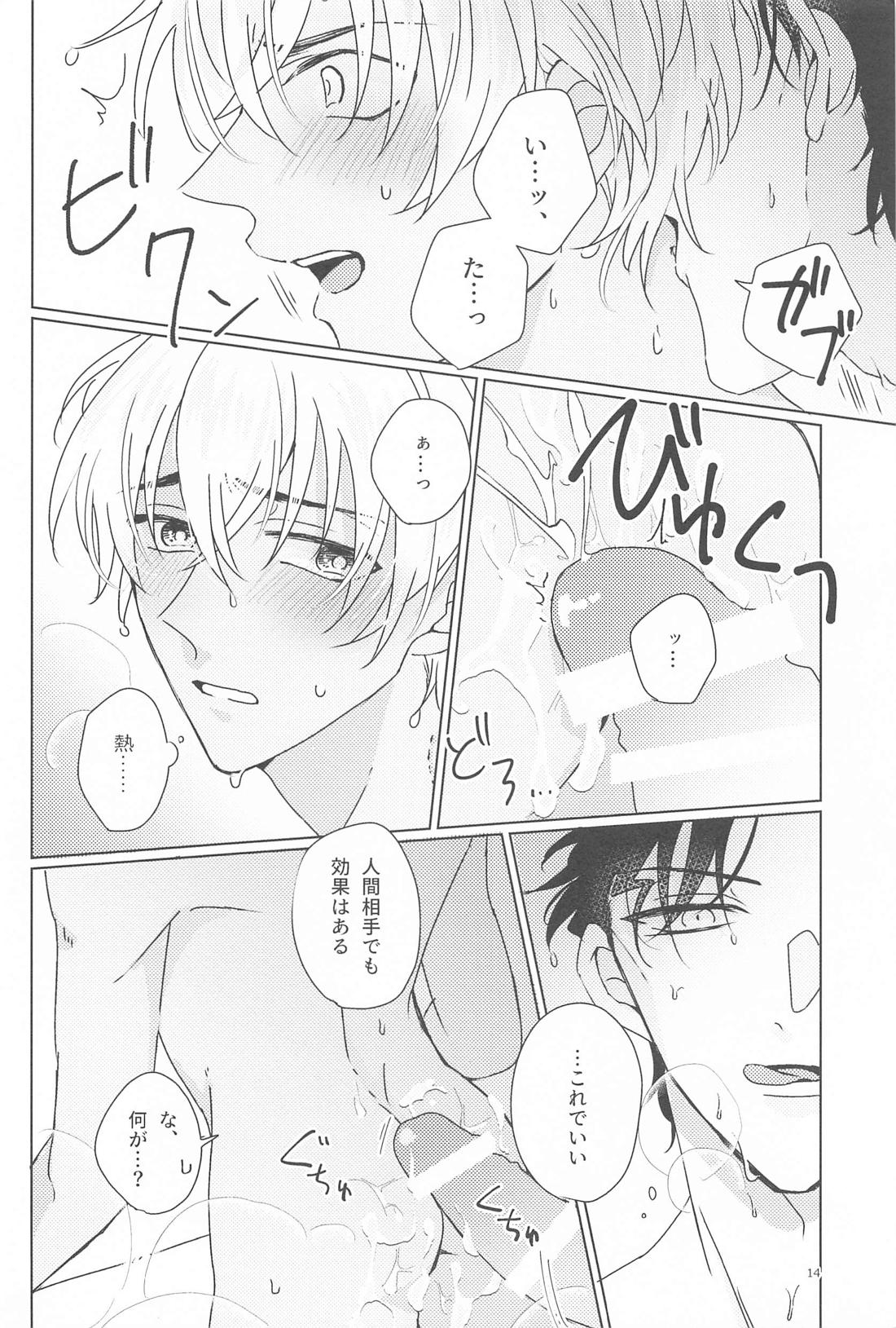 おれのかわいいご主人様【名探偵コナン/赤降(赤井×降谷)】 page 13