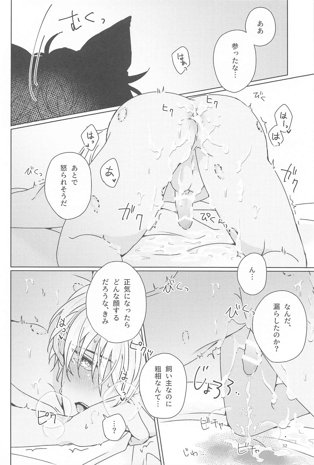 おれのかわいいご主人様【名探偵コナン/赤降(赤井×降谷)】 page 31