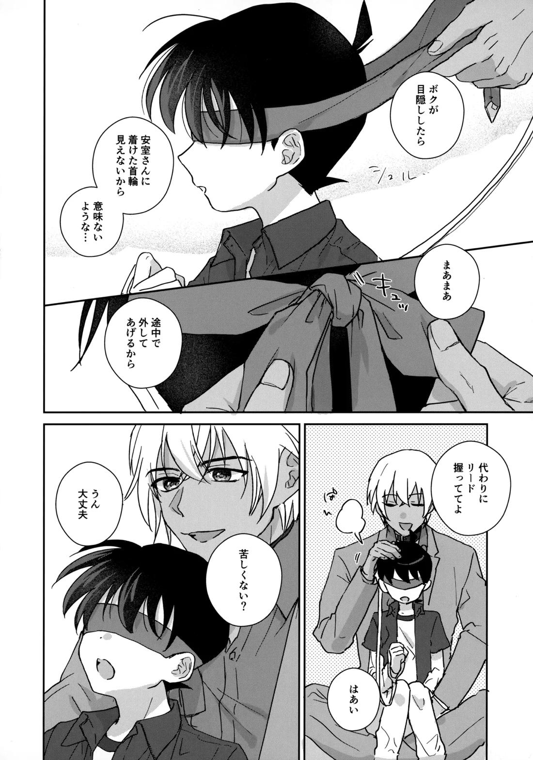 大変良い趣味をお持ちのようで【名探偵コナン/降コ】 page 11