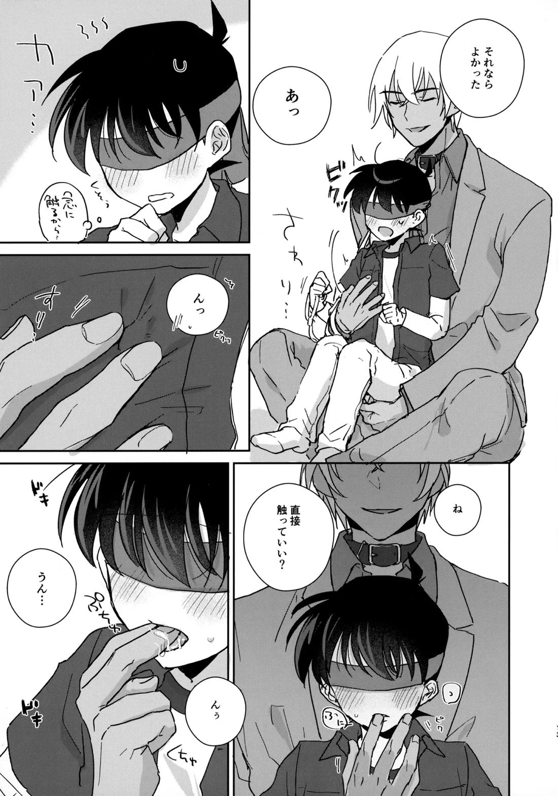 大変良い趣味をお持ちのようで【名探偵コナン/降コ】 page 12