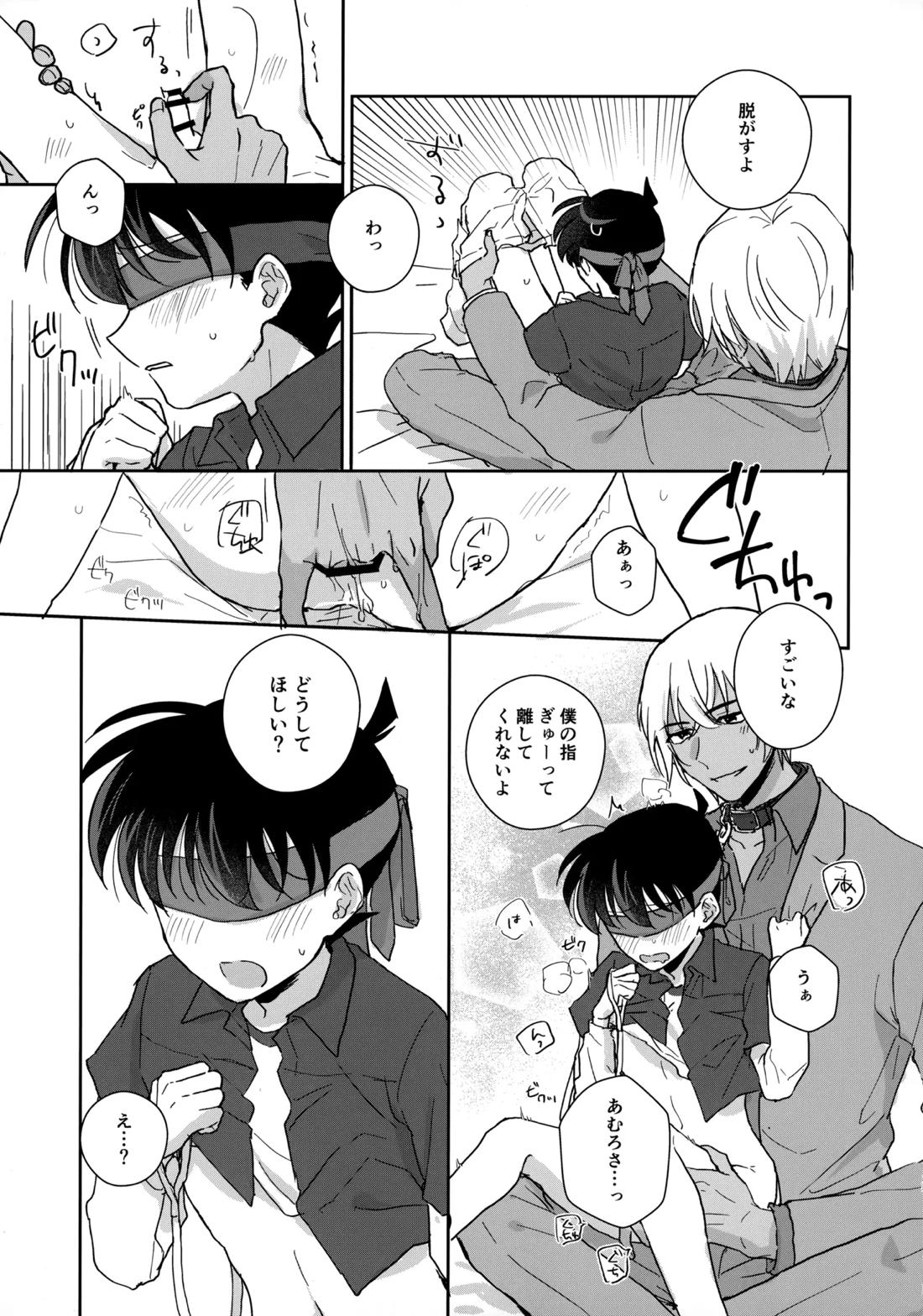 大変良い趣味をお持ちのようで【名探偵コナン/降コ】 page 14