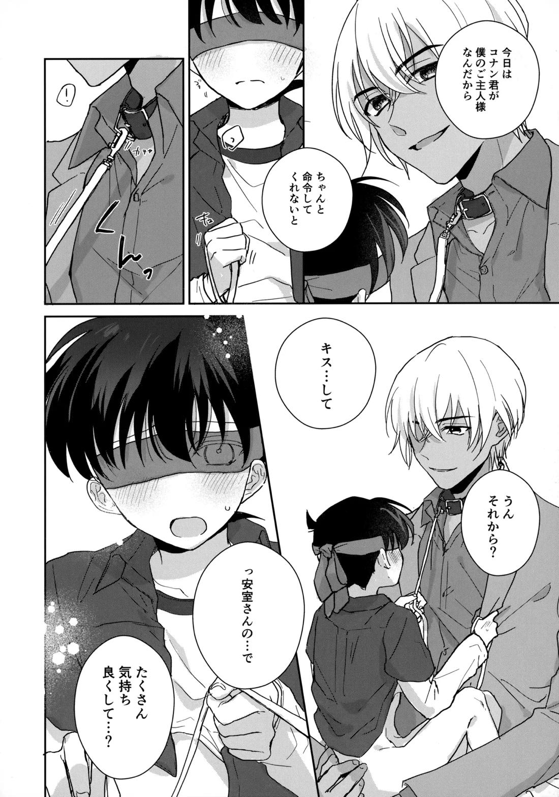 大変良い趣味をお持ちのようで【名探偵コナン/降コ】 page 15