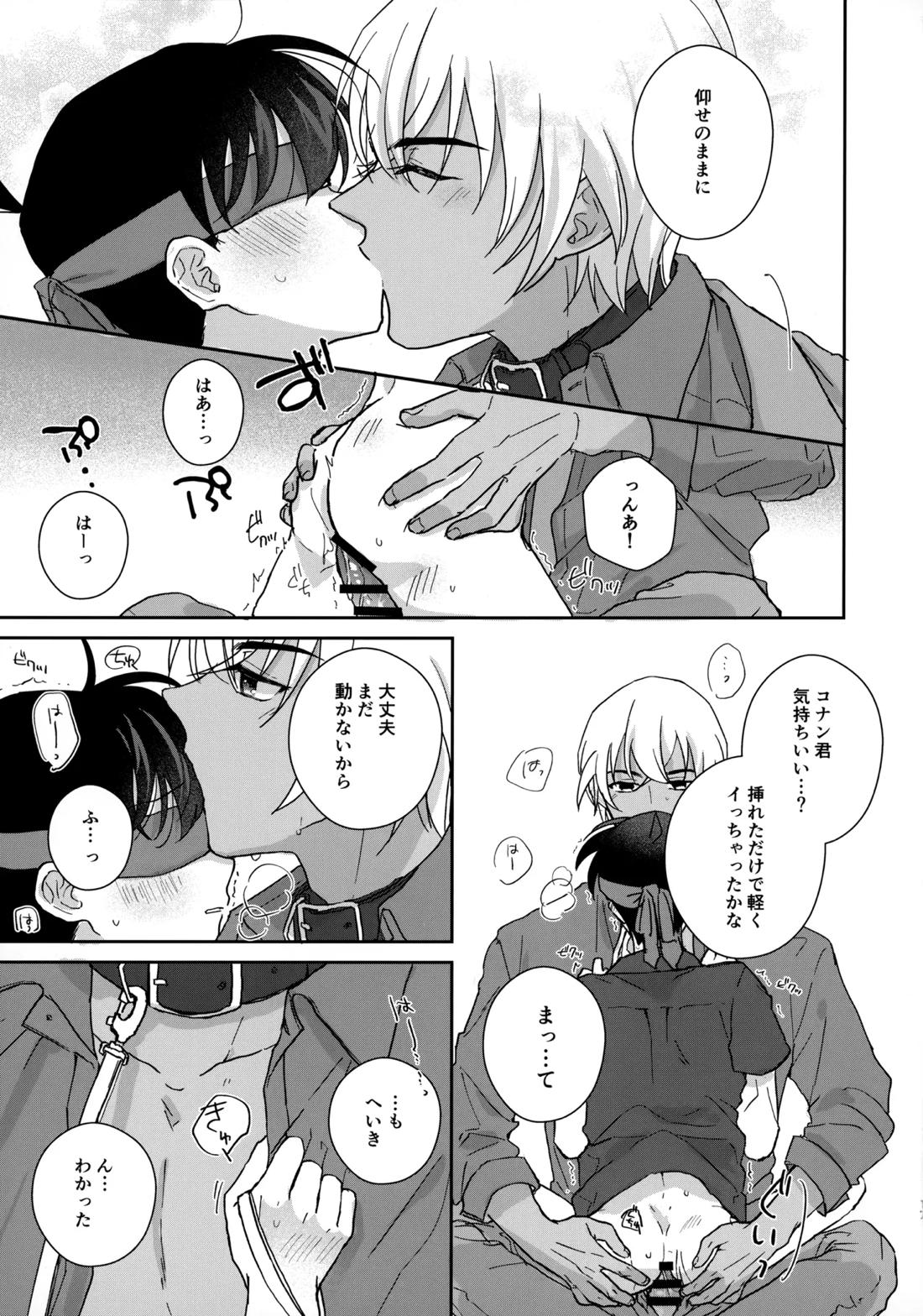 大変良い趣味をお持ちのようで【名探偵コナン/降コ】 page 16