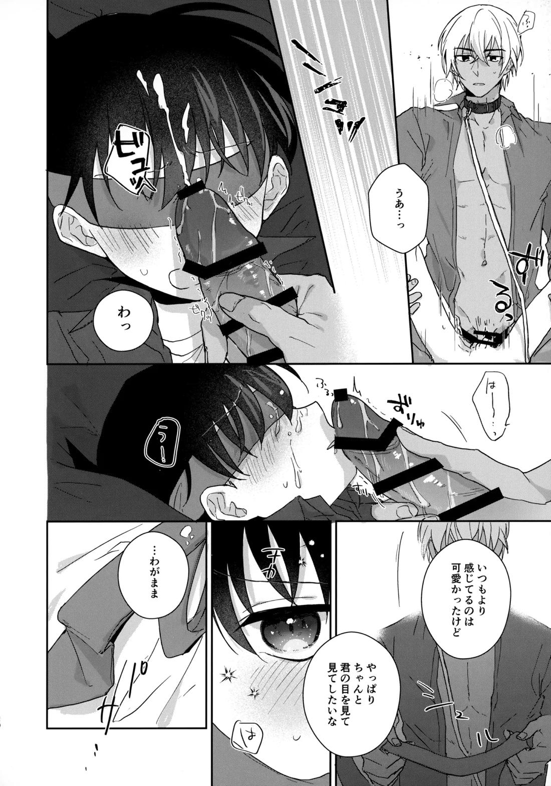 大変良い趣味をお持ちのようで【名探偵コナン/降コ】 page 19