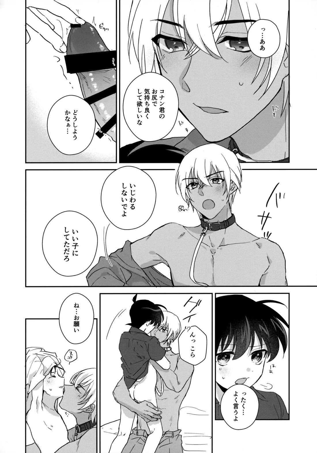 大変良い趣味をお持ちのようで【名探偵コナン/降コ】 page 21