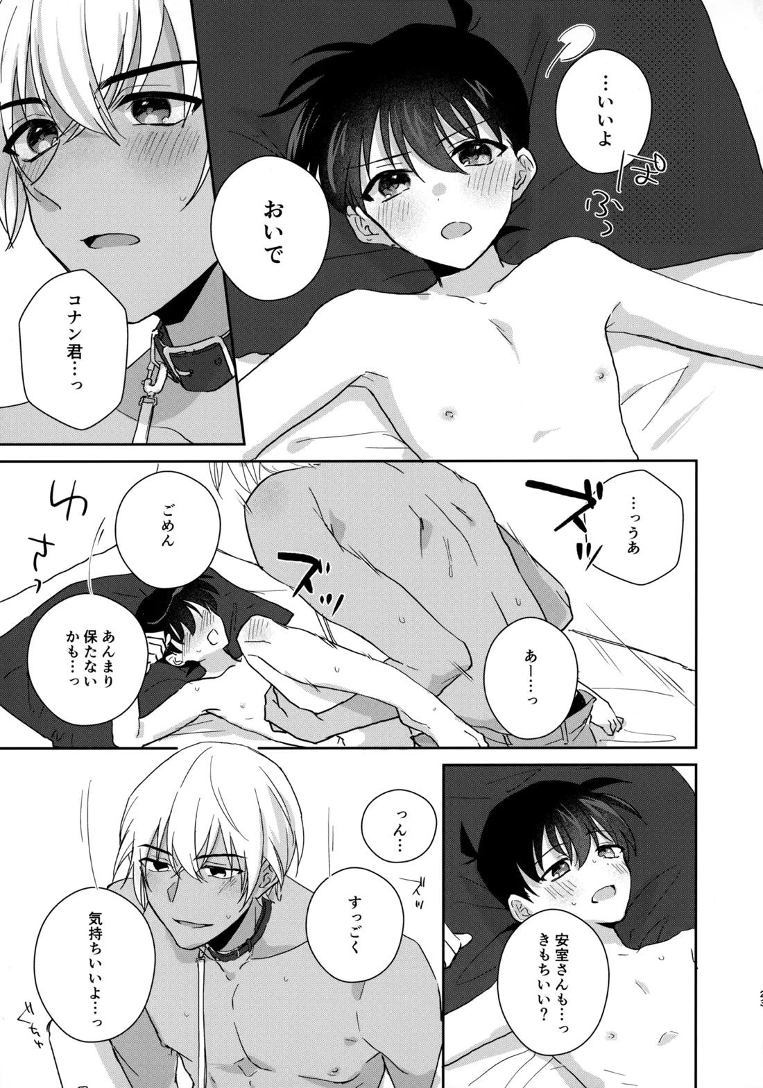 大変良い趣味をお持ちのようで【名探偵コナン/降コ】 page 22