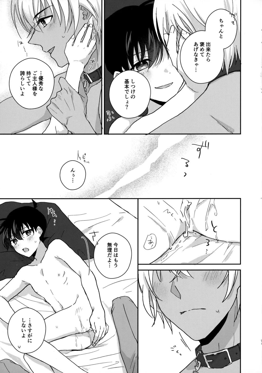 大変良い趣味をお持ちのようで【名探偵コナン/降コ】 page 24