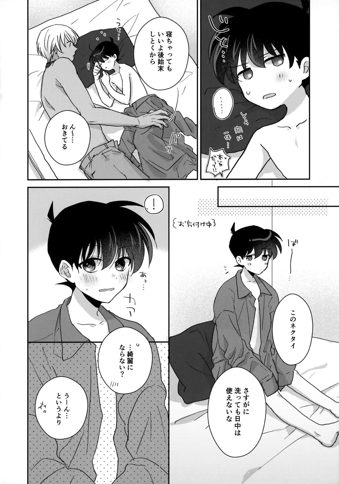 大変良い趣味をお持ちのようで【名探偵コナン/降コ】 page 25