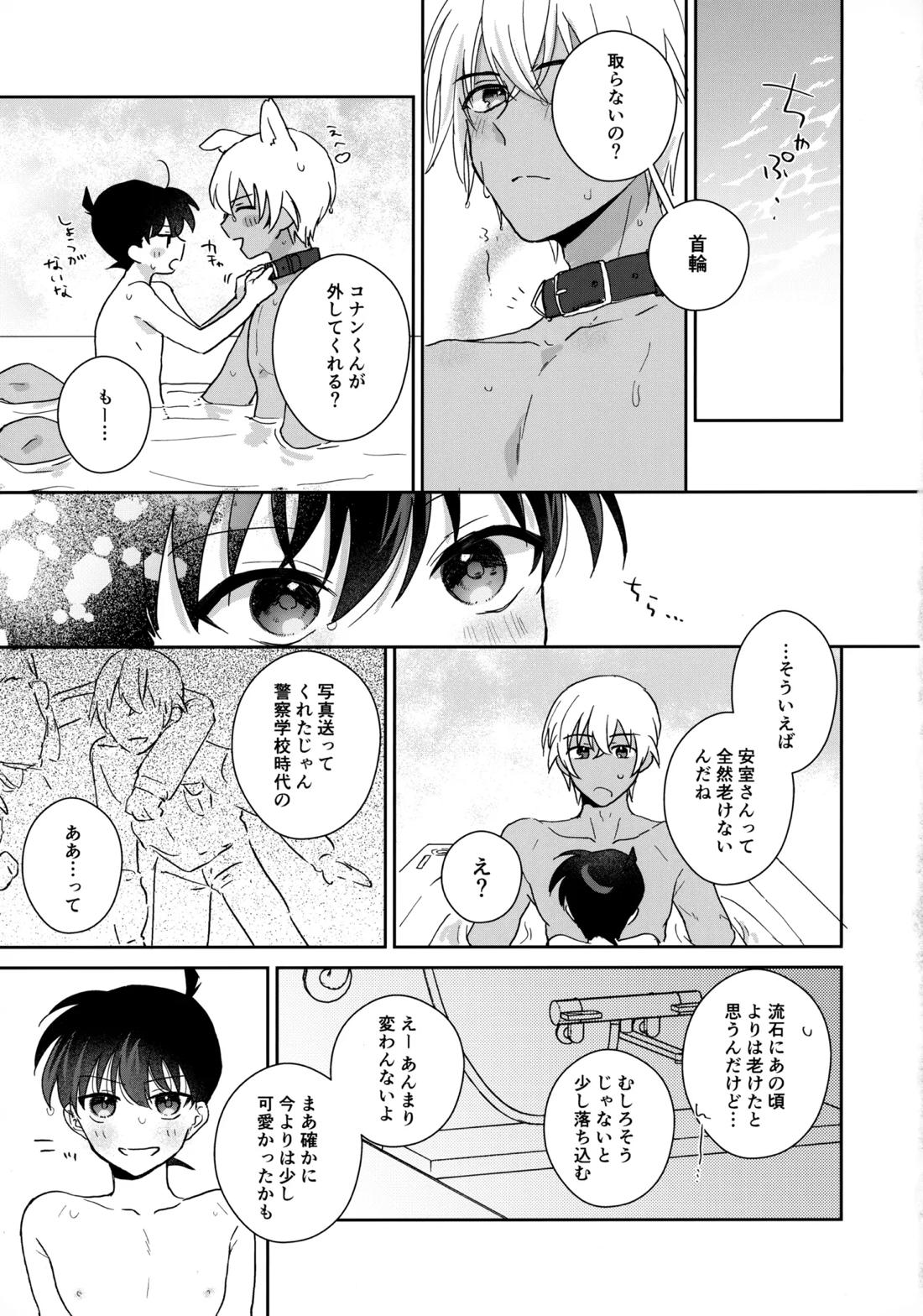 大変良い趣味をお持ちのようで【名探偵コナン/降コ】 page 28