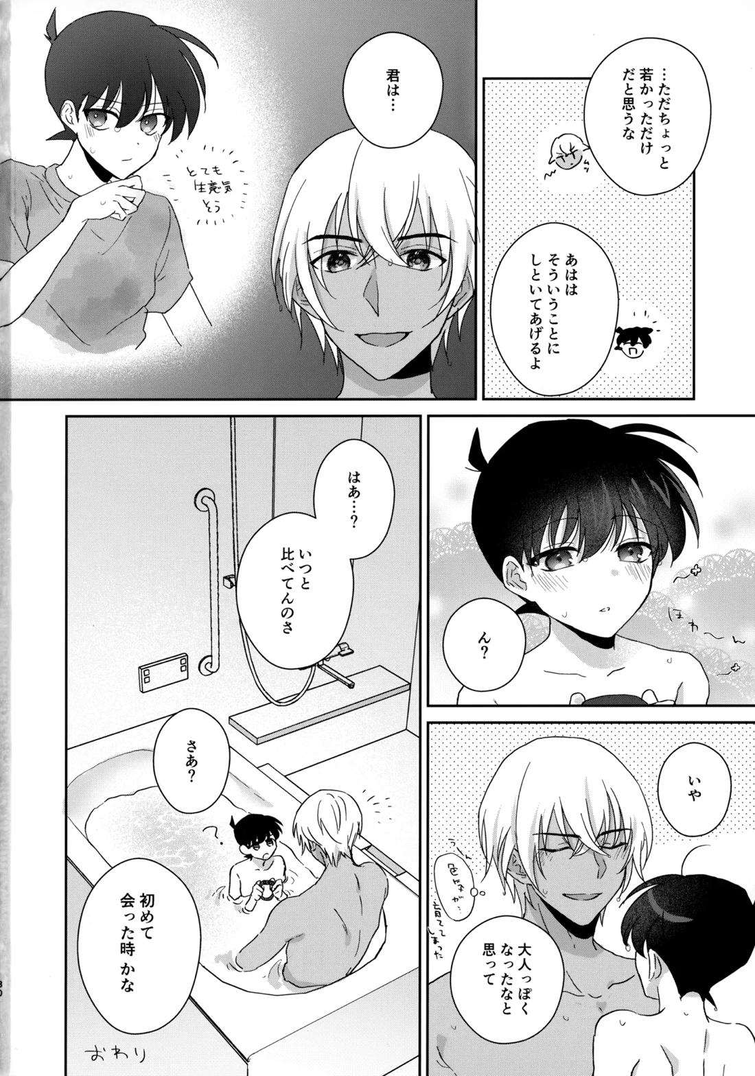 大変良い趣味をお持ちのようで【名探偵コナン/降コ】 page 29