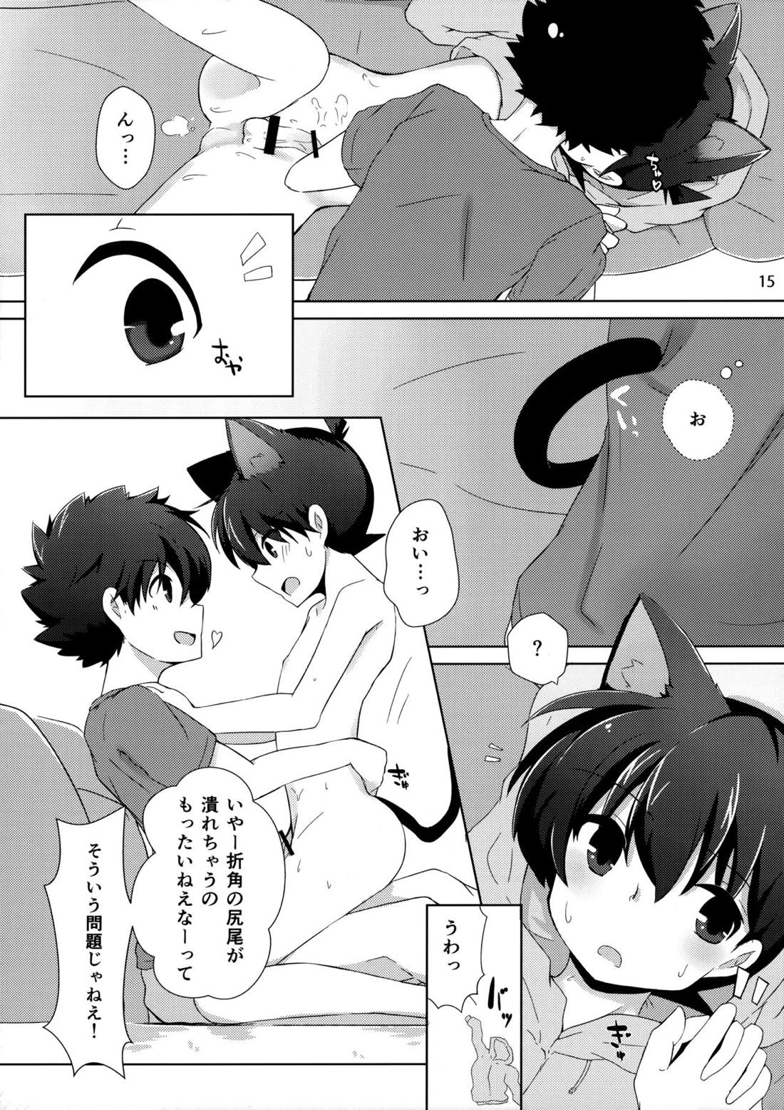 cat fancier【名探偵コナン/快新】 page 14