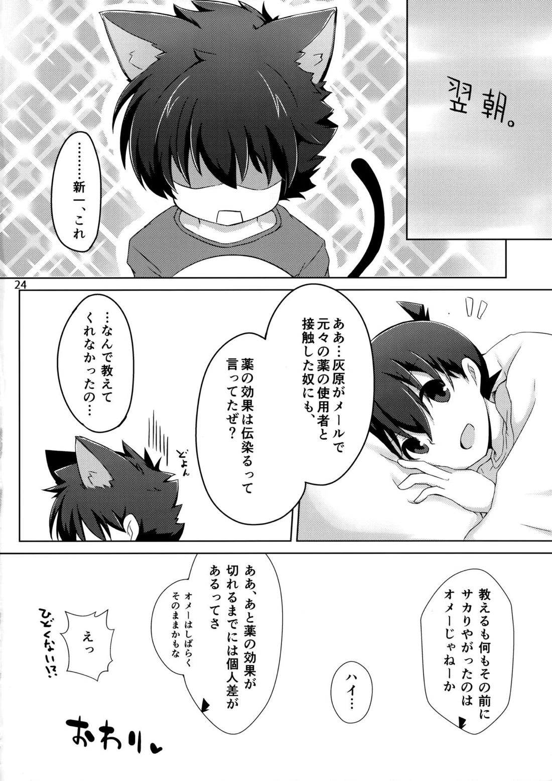 cat fancier【名探偵コナン/快新】 page 23