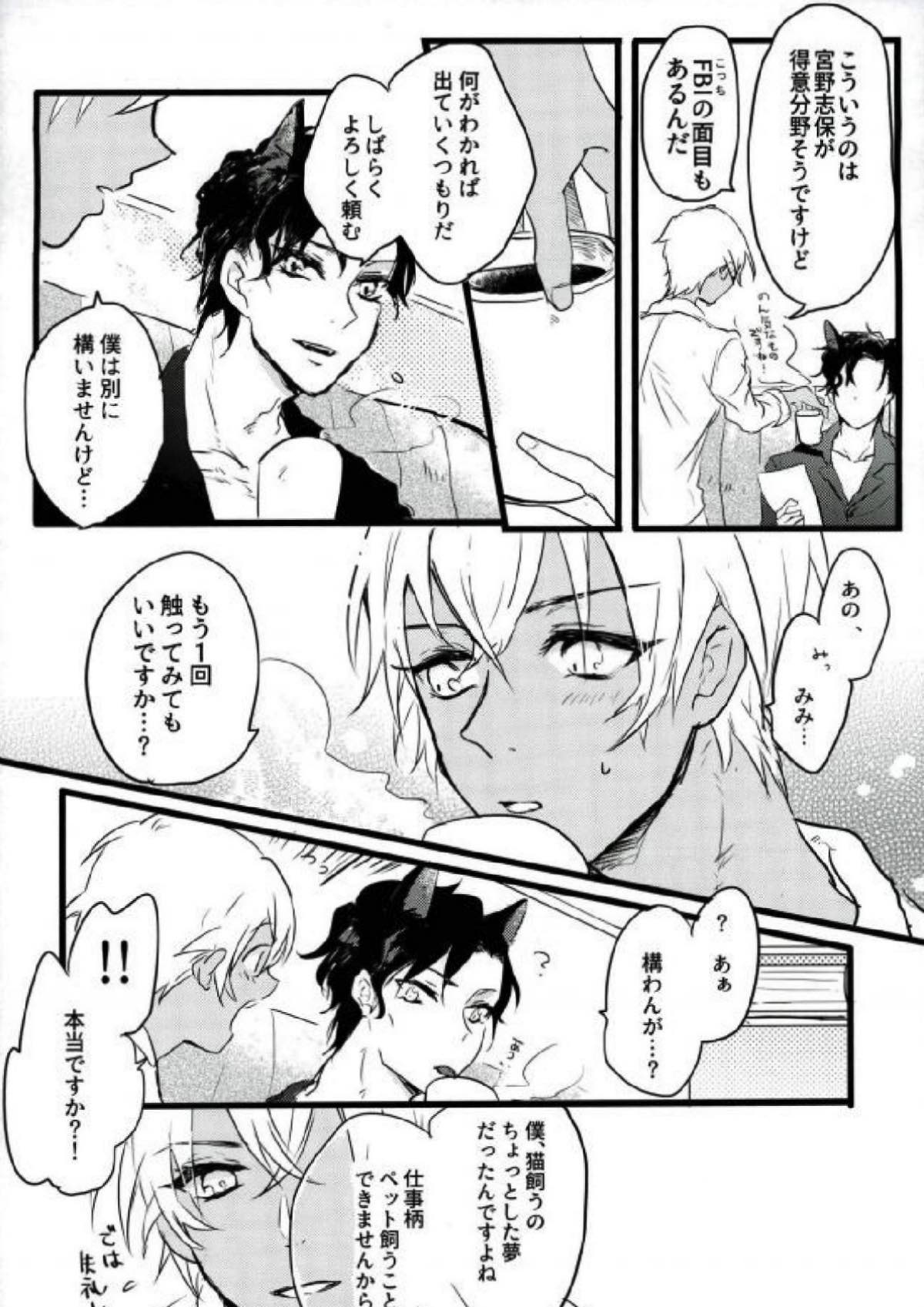Are you a cat ？！【名探偵コナン/赤降(赤井×降谷)】 page 11