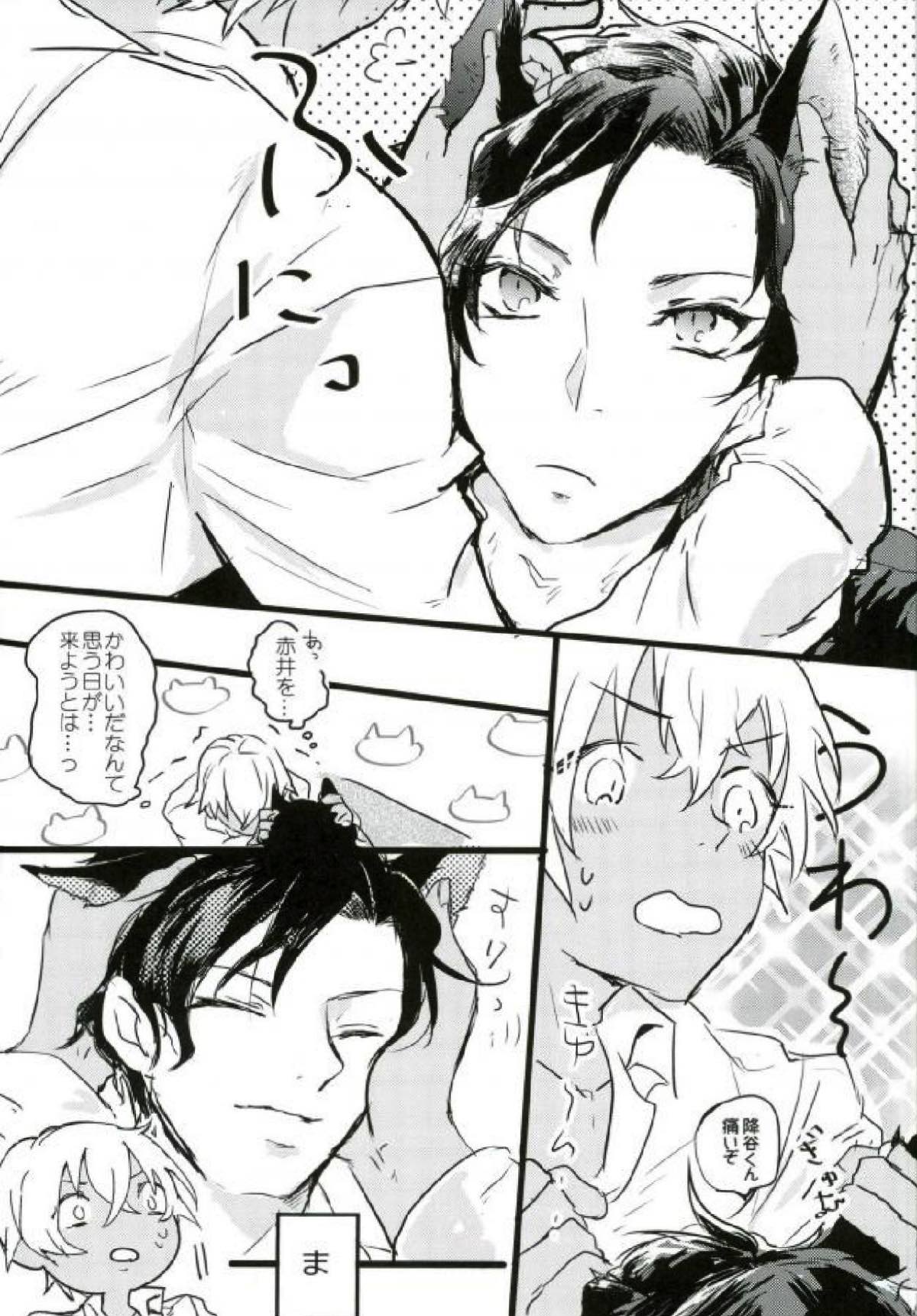 Are you a cat ？！【名探偵コナン/赤降(赤井×降谷)】 page 12