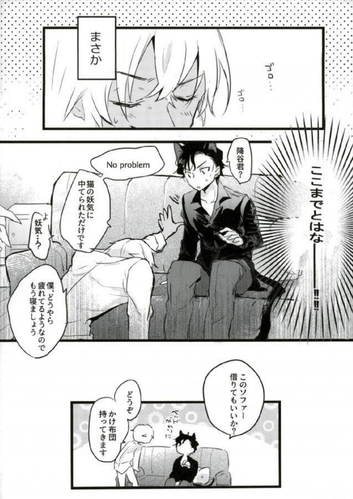 Are you a cat ？！【名探偵コナン/赤降(赤井×降谷)】 page 13