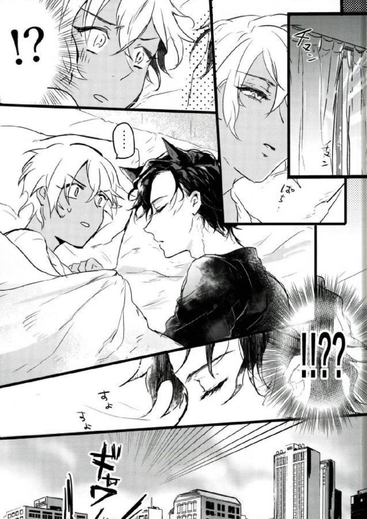 Are you a cat ？！【名探偵コナン/赤降(赤井×降谷)】 page 14