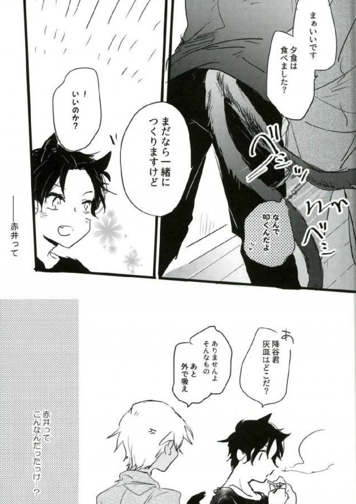 Are you a cat ？！【名探偵コナン/赤降(赤井×降谷)】 page 20