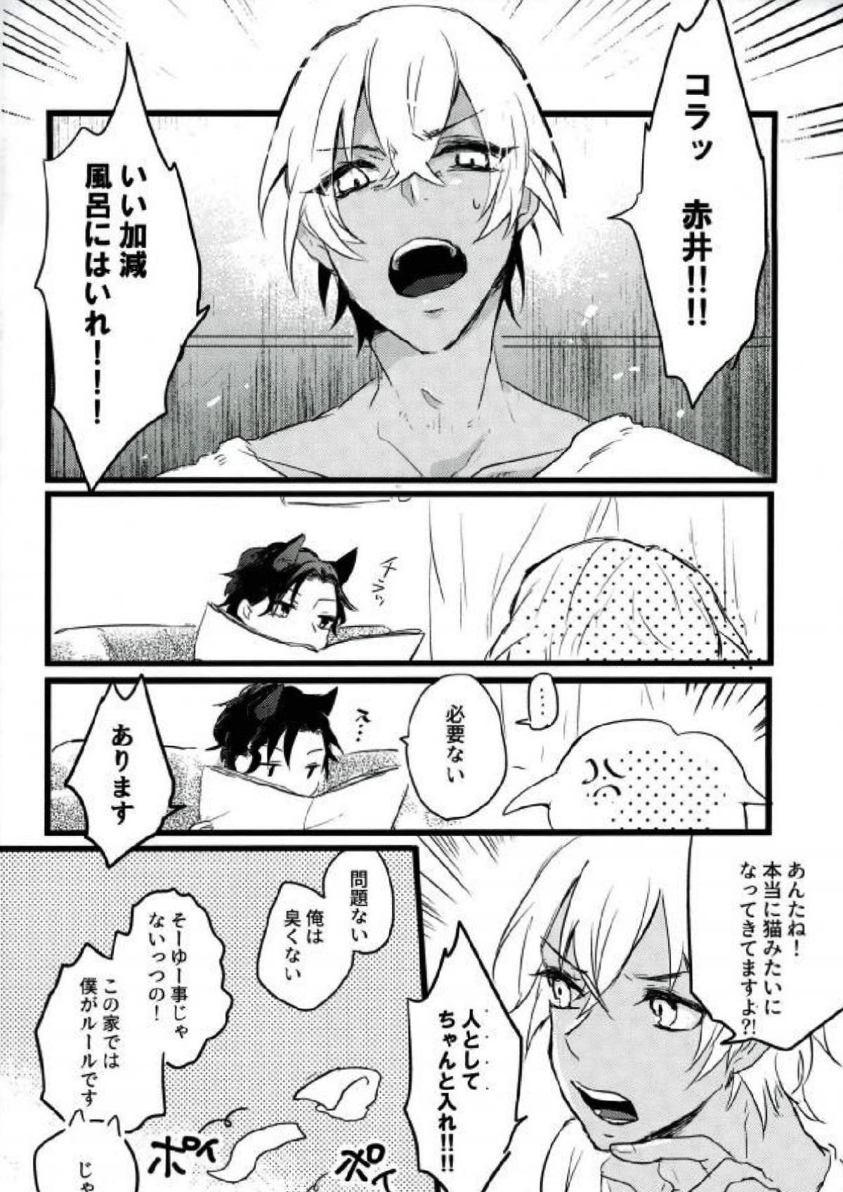 Are you a cat ？！【名探偵コナン/赤降(赤井×降谷)】 page 21