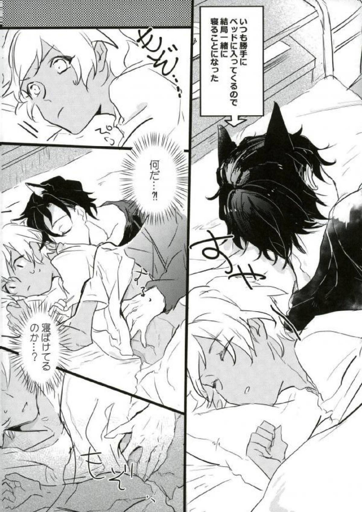 Are you a cat ？！【名探偵コナン/赤降(赤井×降谷)】 page 23