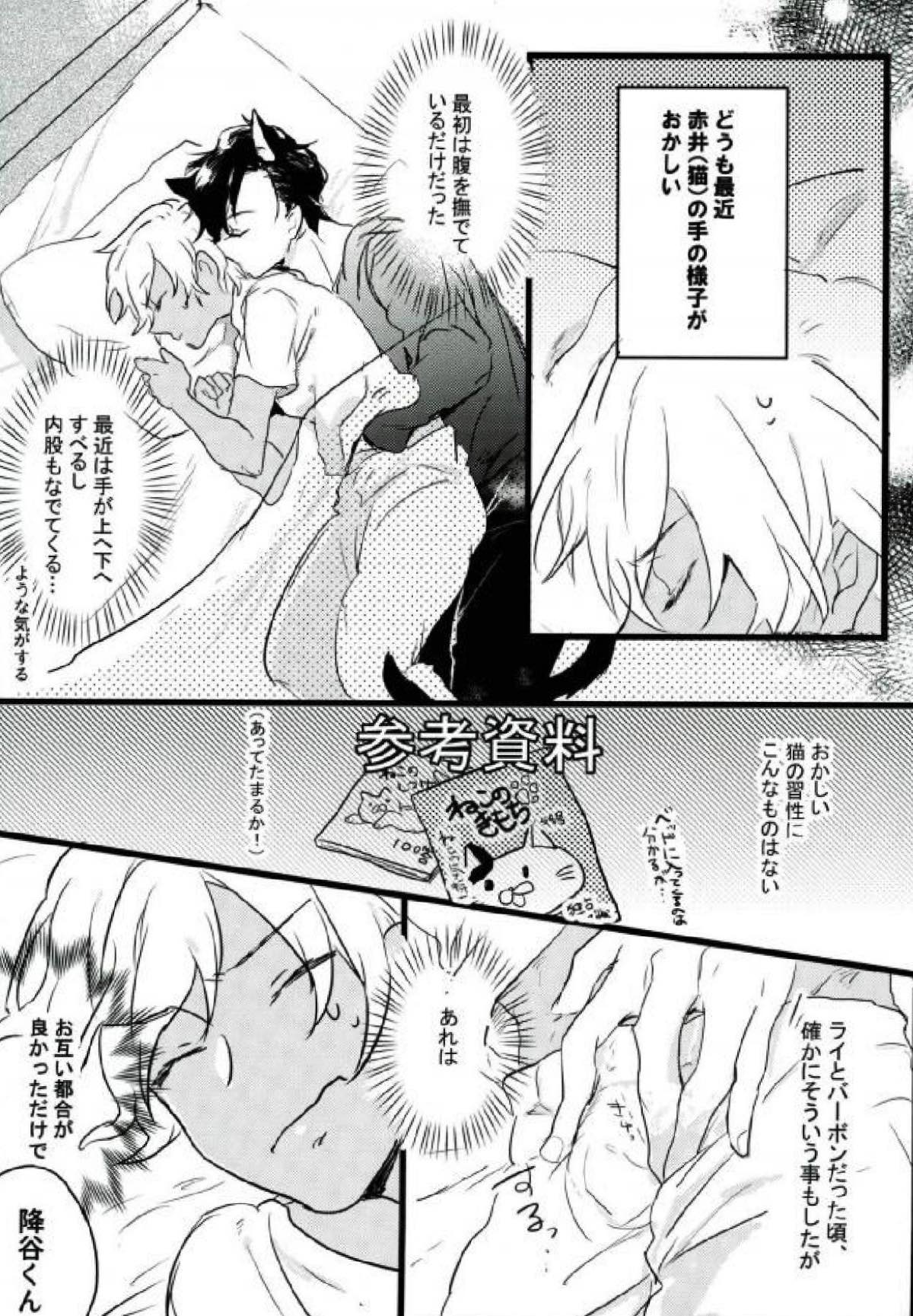 Are you a cat ？！【名探偵コナン/赤降(赤井×降谷)】 page 25