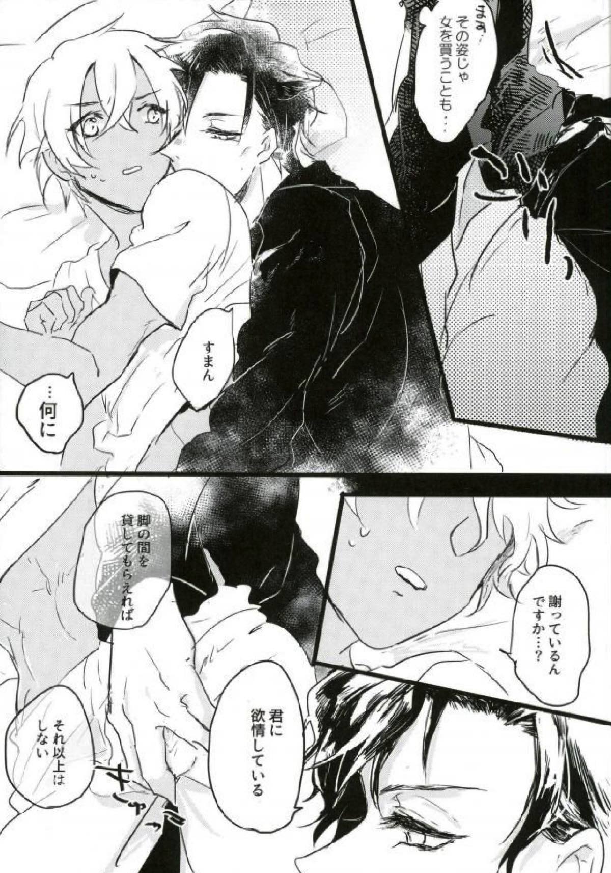Are you a cat ？！【名探偵コナン/赤降(赤井×降谷)】 page 27