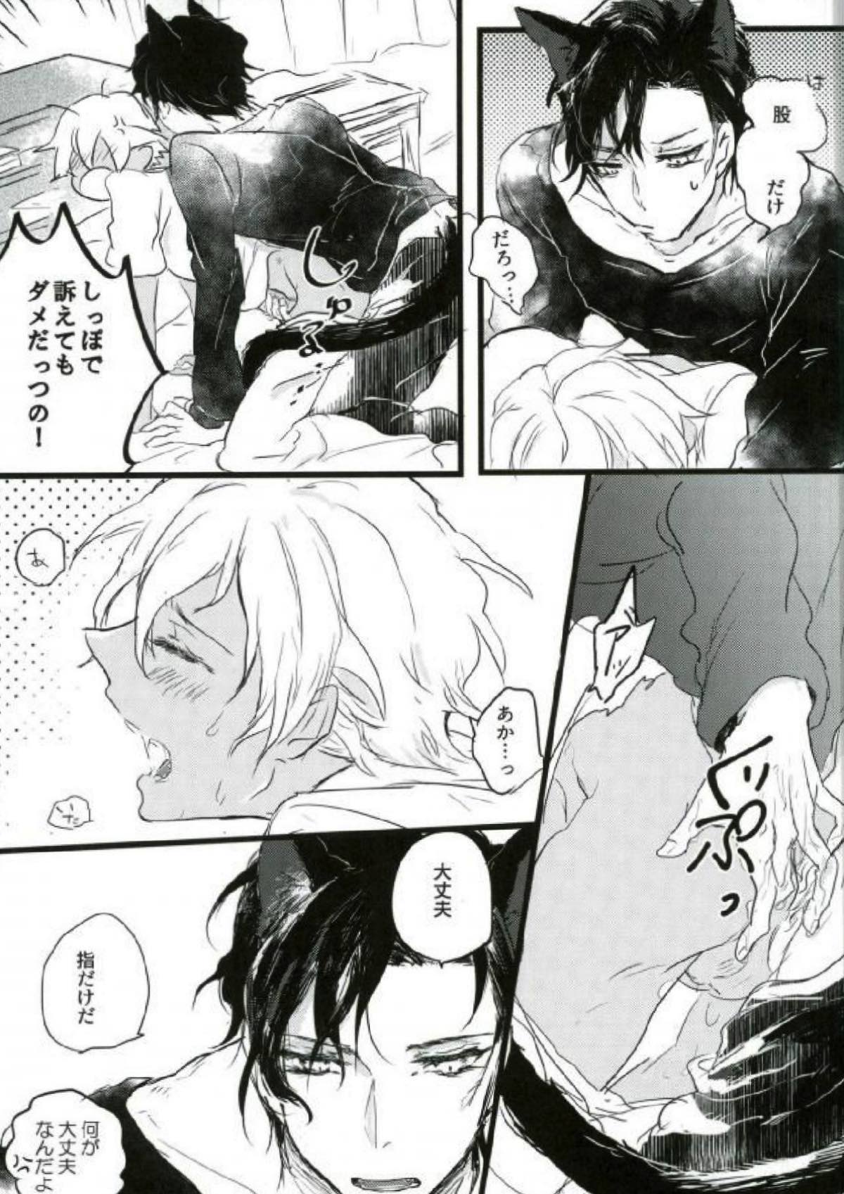 Are you a cat ？！【名探偵コナン/赤降(赤井×降谷)】 page 29