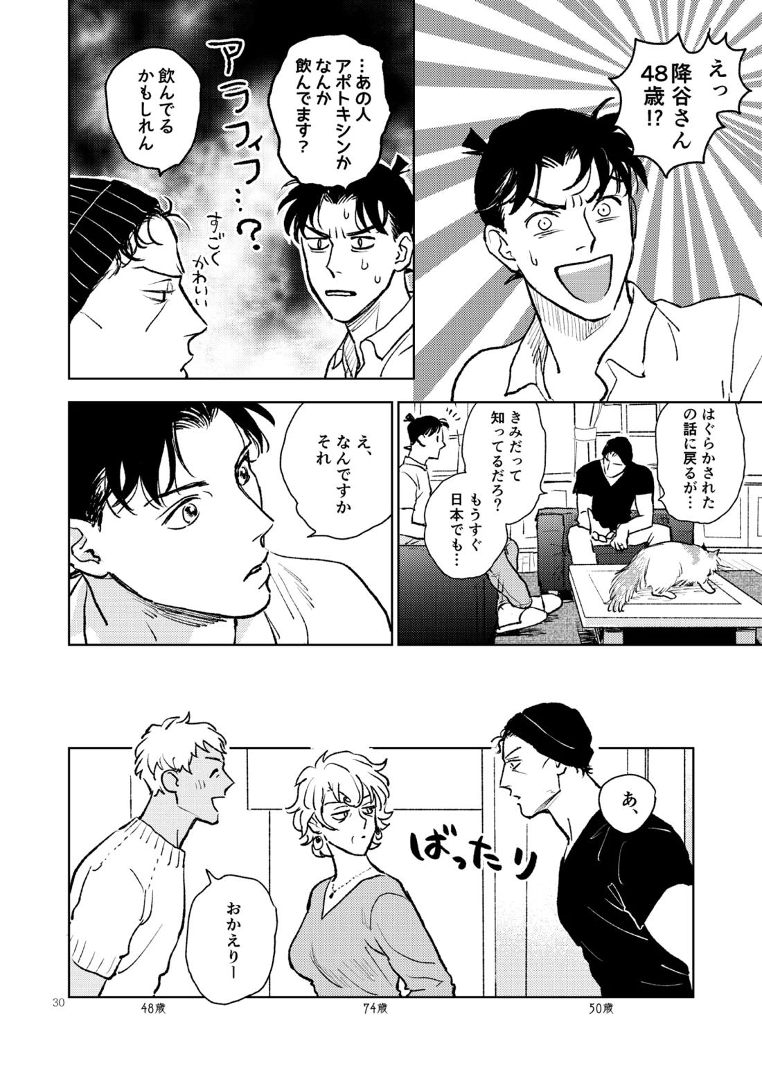 世界一かっこわるいふたり【名探偵コナン/赤降(赤井×降谷)】 page 29