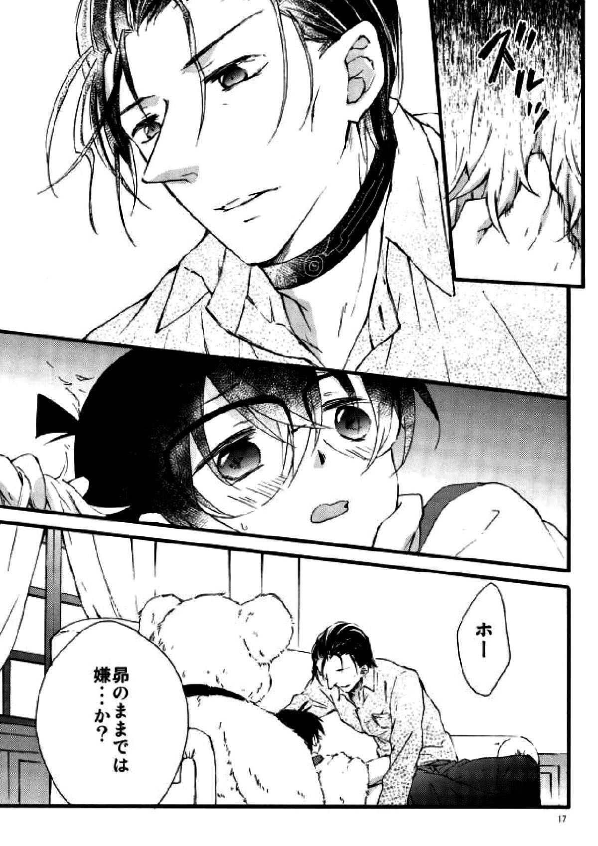 テディといっしょ【名探偵コナン/昴コ】 page 14