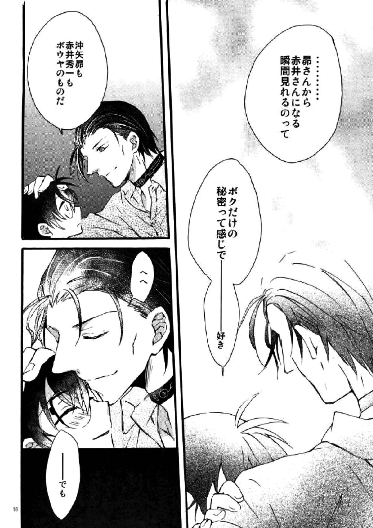 テディといっしょ【名探偵コナン/昴コ】 page 15