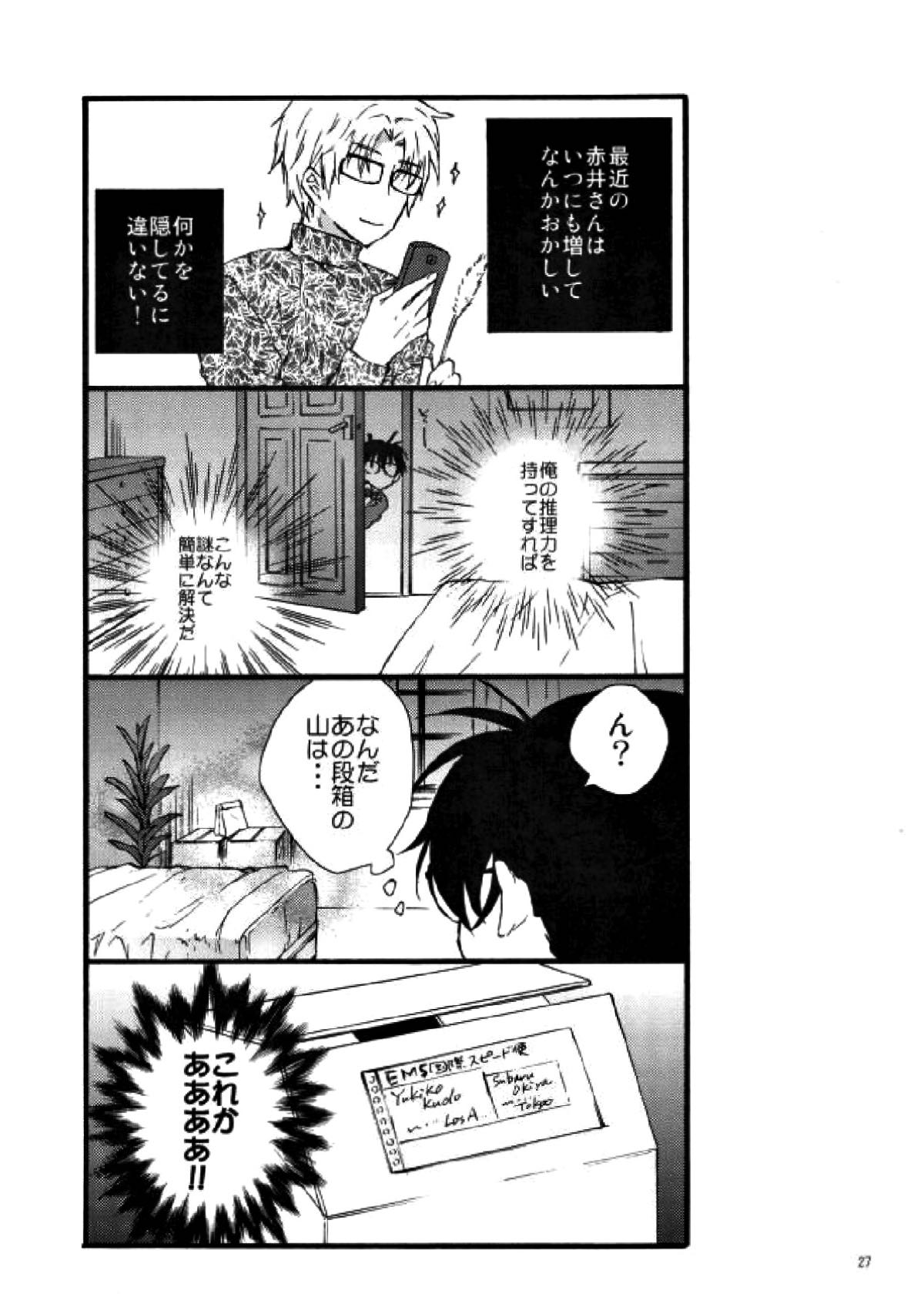 テディといっしょ【名探偵コナン/昴コ】 page 24