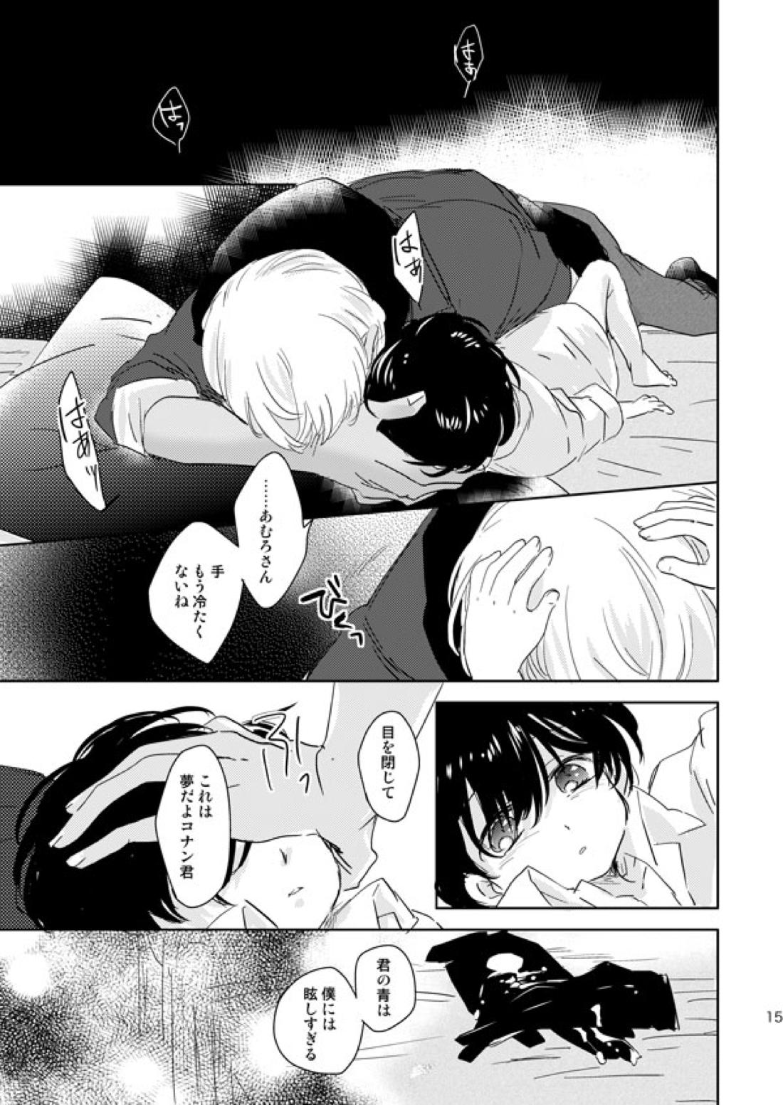 星をつかまえた夜のこと【名探偵コナン/降コ】 page 12