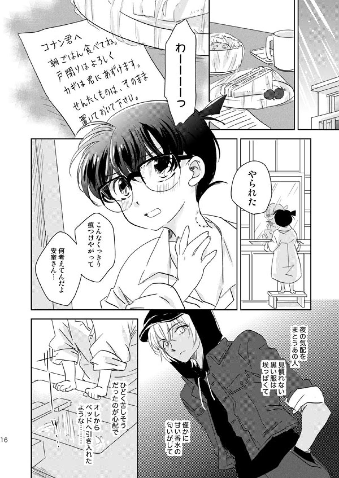星をつかまえた夜のこと【名探偵コナン/降コ】 page 13