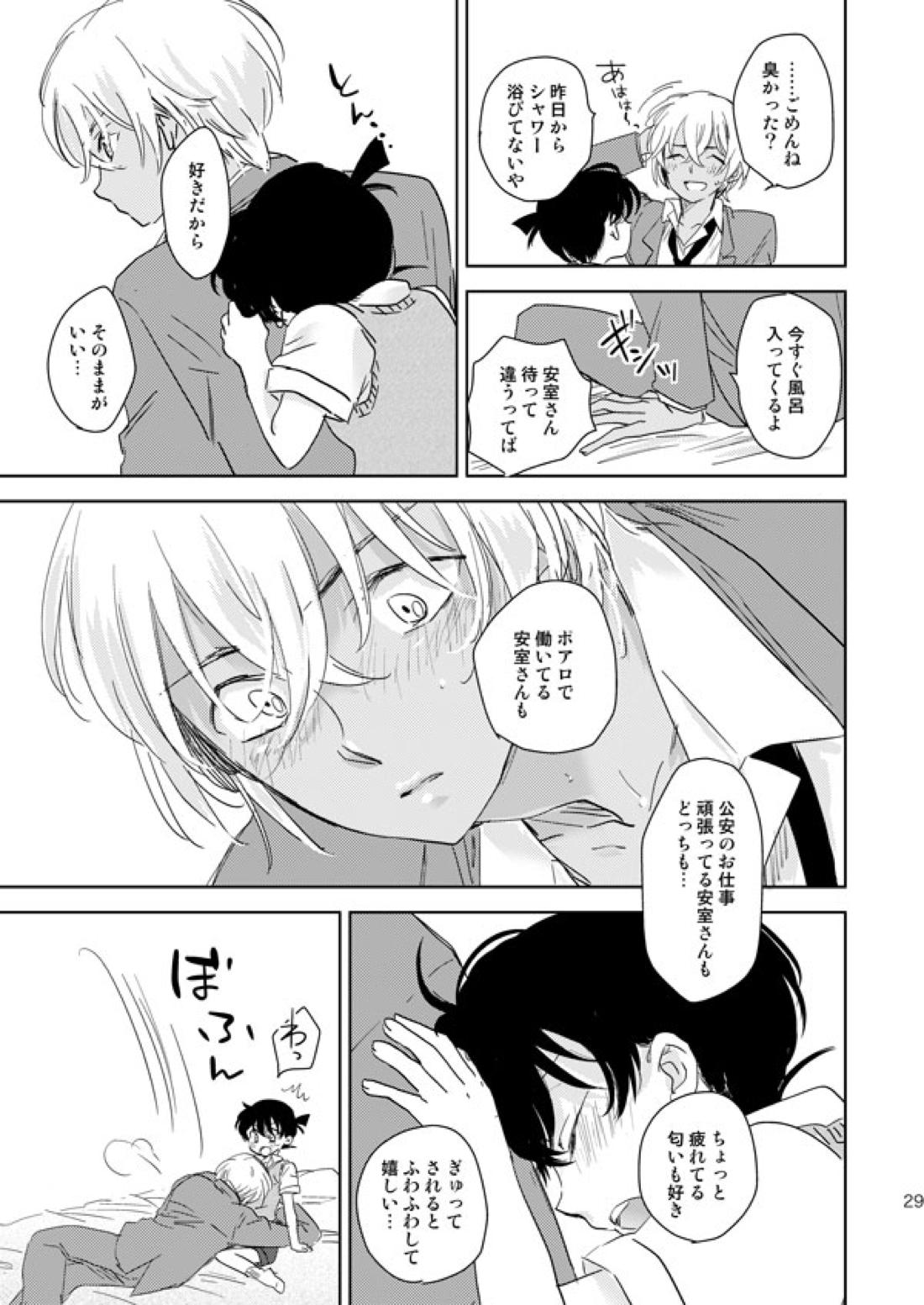 星をつかまえた夜のこと【名探偵コナン/降コ】 page 26